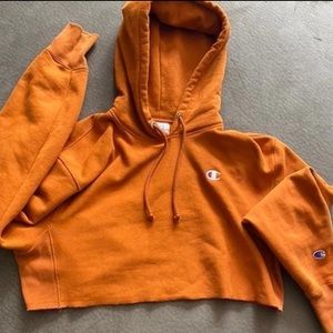 Champion Cropped Hoodie